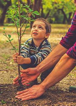 Father and son planting a tree